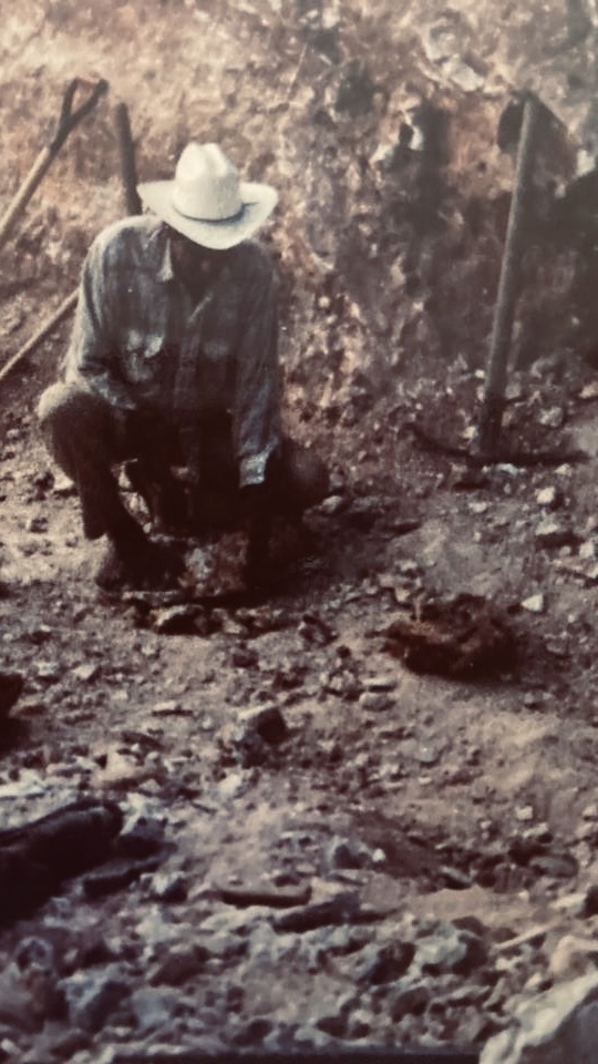 bc77c7ed-7404-4867-8709-0269599e1ffd